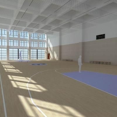 5.0mm Long-lastingmovable basketball court